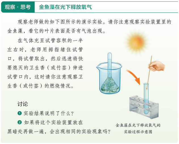 双线索问题链总览图